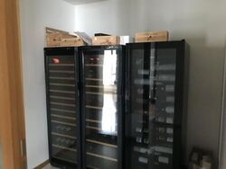 Concourse Skyline (D7), Apartment #503539161